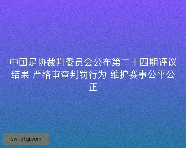 中国足协裁判委员会公布第二十四期评议结果 严格审查判罚行为 维护赛事公平公正