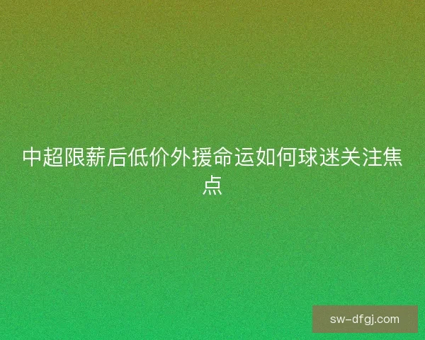 中超限薪后低价外援命运如何球迷关注焦点